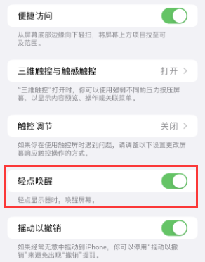 铜鼓苹果授权维修站分享iPhone轻点无法唤醒怎么办 