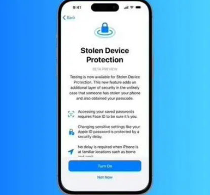 铜鼓苹果授权维修店分享被盗设备保护功能开启方法