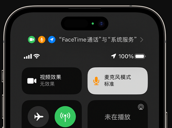 铜鼓苹果授权维修网点分享iPhone在通话时让你的声音更清晰 