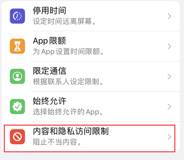 铜鼓appleID维修服务iPhone设置中Apple ID显示为灰色无法使用