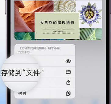 铜鼓apple维修中心分享iPhone文件应用中存储和找到下载文件