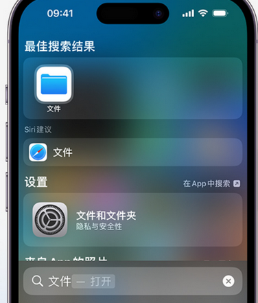 铜鼓apple维修中心分享iPhone文件应用中存储和找到下载文件 