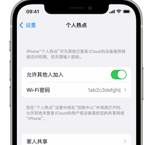 铜鼓apple服务站点分享iPhone上个人热点丢失了怎么办