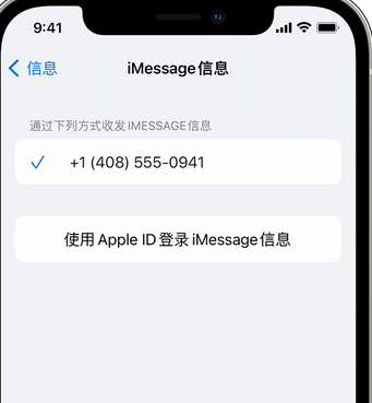 铜鼓apple维修iPhone上无法正常发送iMessage信息 