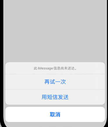 铜鼓apple维修iPhone上无法正常发送iMessage信息