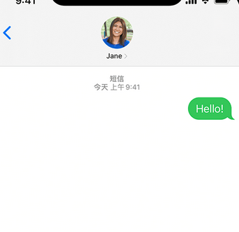 铜鼓apple维修iPhone上无法正常发送iMessage信息