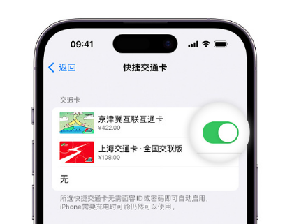 铜鼓apple维修点分享iPhone上更换Apple Pay快捷交通卡手绘卡面 