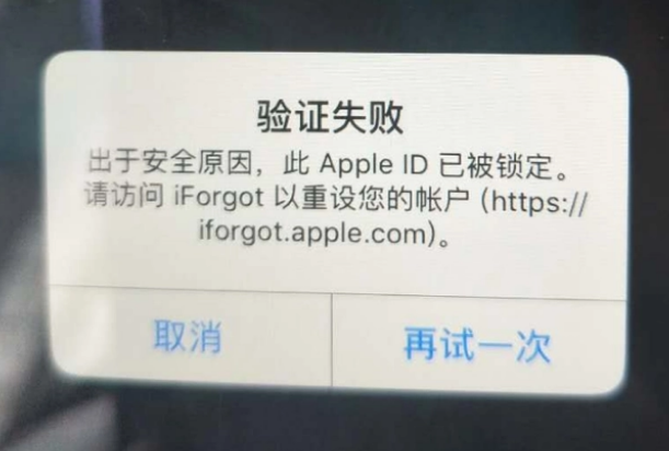 铜鼓iPhone维修分享iPhone上正常登录或使用AppleID怎么办 