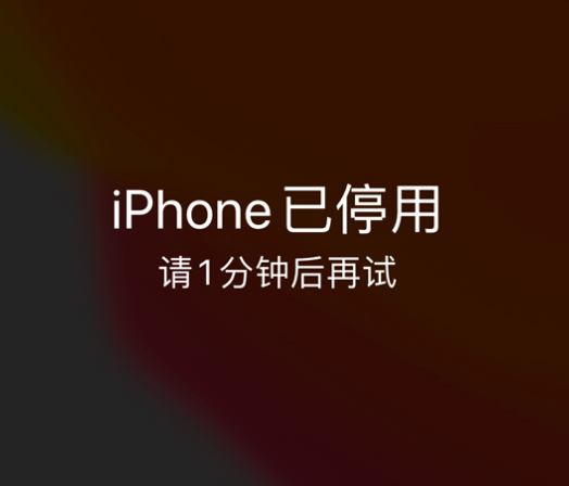 铜鼓苹果手机维修分享:iPhone 显示“不可用”或“已停用”怎么办？还能保留数据吗？ 