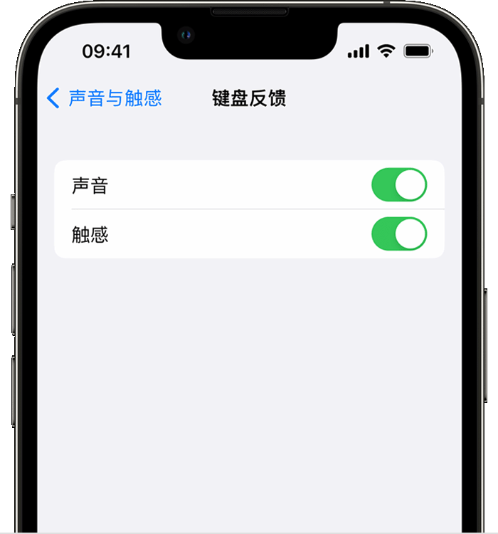 铜鼓苹果14维修店分享如何在 iPhone 14 机型中使用触感键盘 