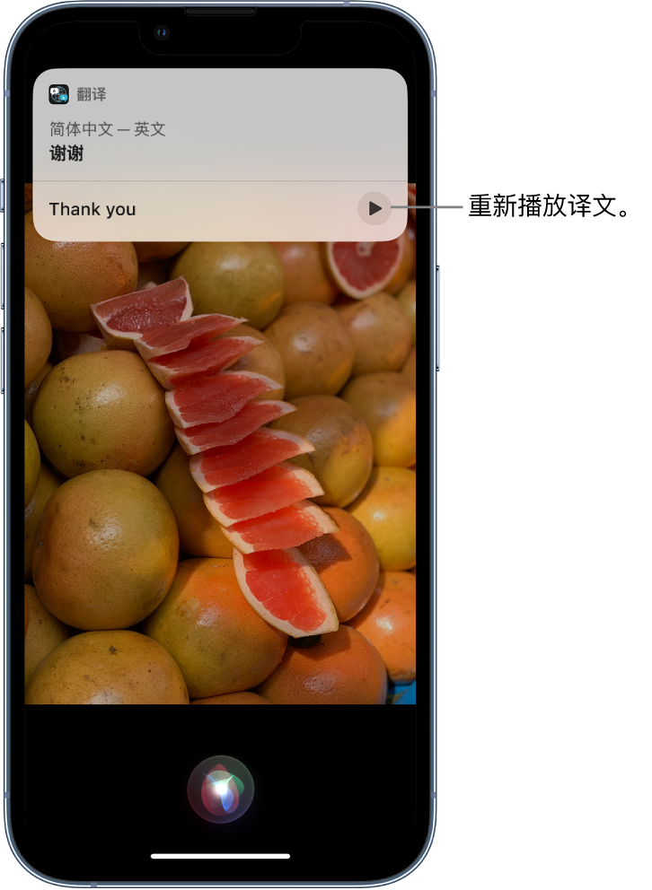 铜鼓苹果14维修分享 iPhone 14 机型中使用 Siri：了解 Siri 能帮你做什么 