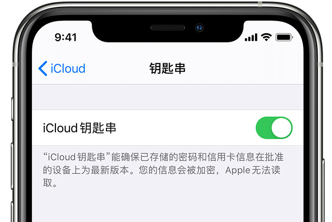 铜鼓苹果手机维修分享在 iPhone 上开启 iCloud 钥匙串之后会储存哪些信息 