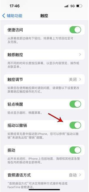 铜鼓苹果手机维修分享iPhone手机如何设置摇一摇删除文字 